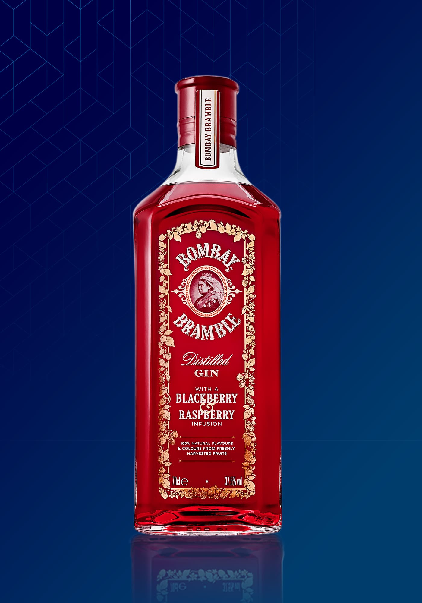 Bombay Gin Types Premium Gins Bombay Sapphire