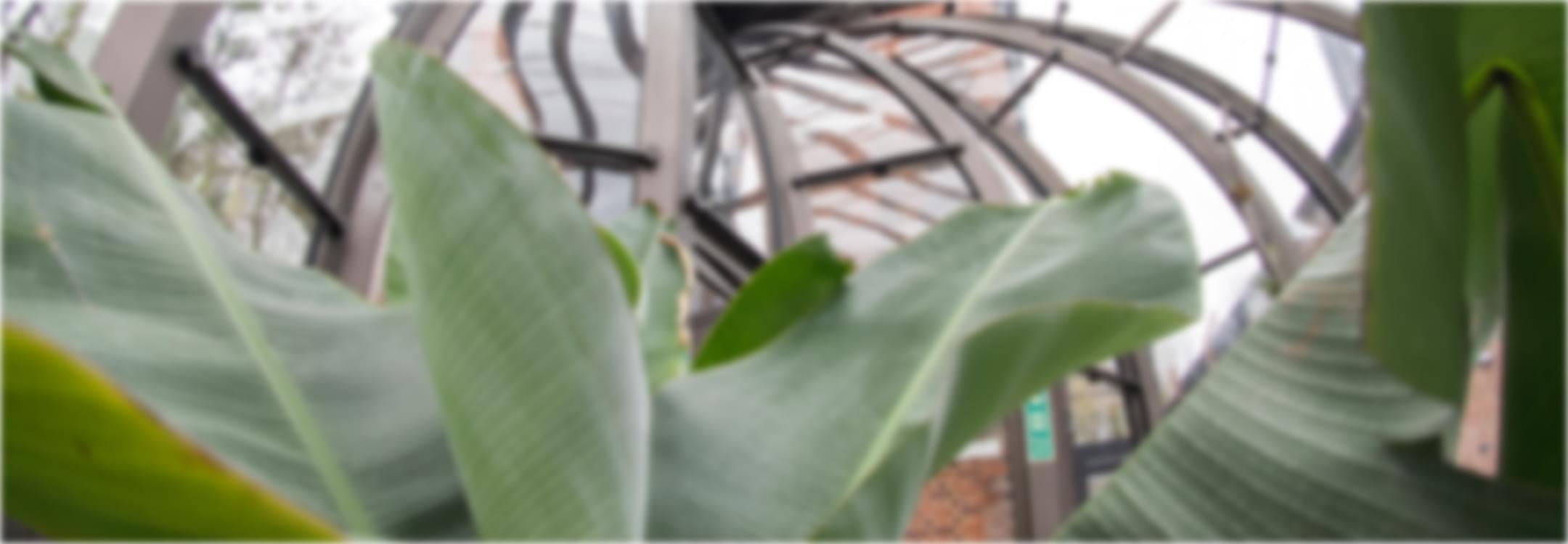 the horticultural experience