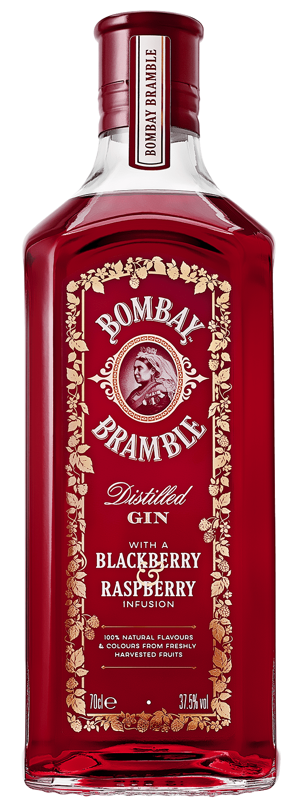Star Of Bombay Gin Premium Gin Smooth Gin