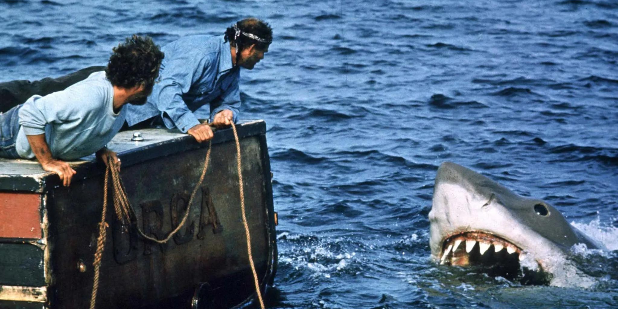 jaws jaws