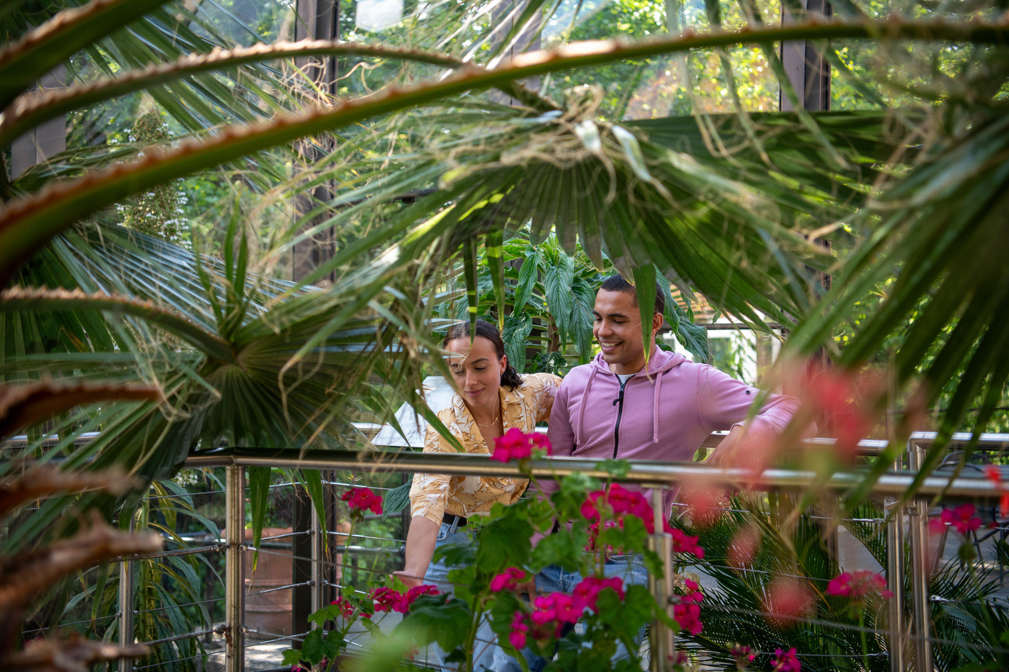 Glasshouses-036-2